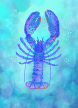 lobster illustration