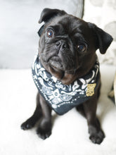 black pug in bandana